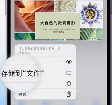 惠州apple维修中心分享iPhone文件应用中存储和找到下载文件