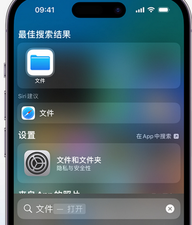 惠州apple维修中心分享iPhone文件应用中存储和找到下载文件 