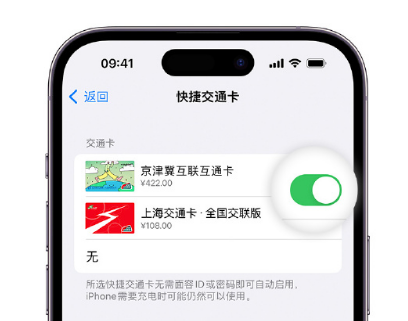 惠州apple维修点分享iPhone上更换Apple Pay快捷交通卡手绘卡面 