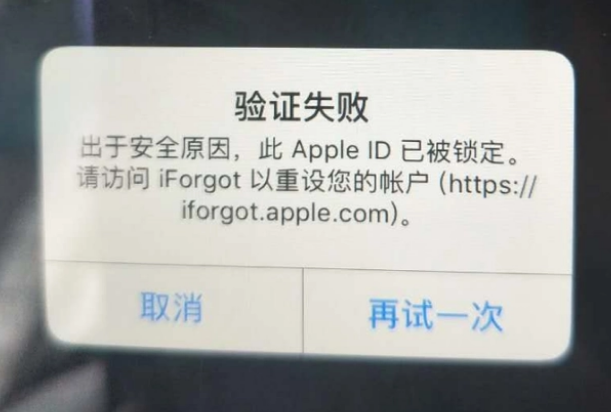 惠州iPhone维修分享iPhone上正常登录或使用AppleID怎么办 