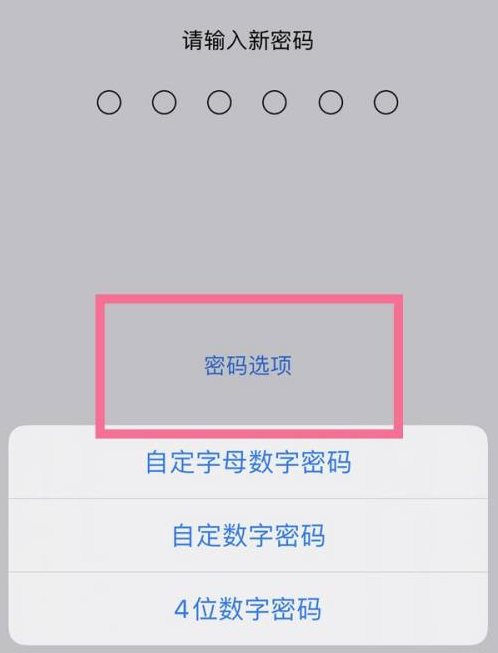 惠州苹果14维修分享iPhone 14plus设置密码的方法 