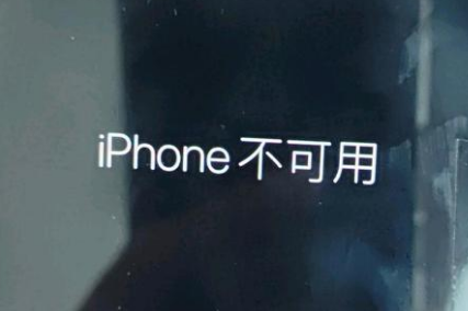 惠州苹果服务网点分享锁屏界面显示“iPhone 不可用”如何解决 