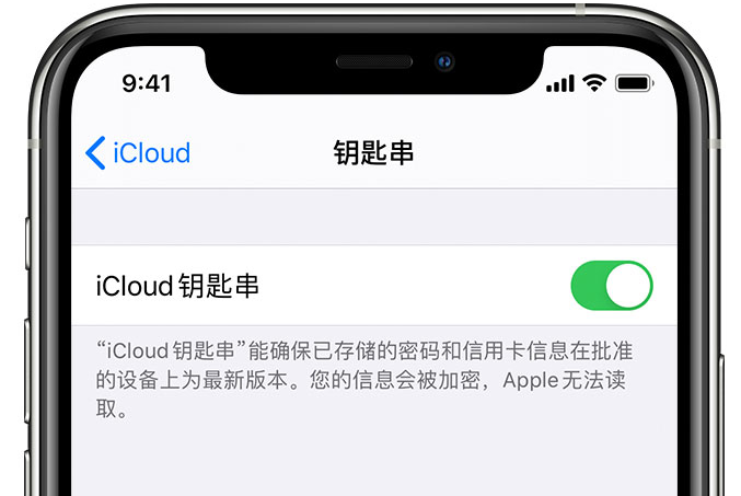 惠州苹果手机维修分享在 iPhone 上开启 iCloud 钥匙串之后会储存哪些信息 