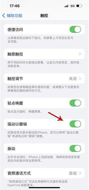 惠州苹果手机维修分享iPhone手机如何设置摇一摇删除文字 