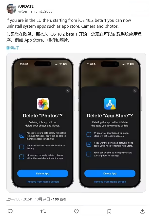 惠州苹果手机维修分享iOS 18.2 支持删除 App Store 应用商店 